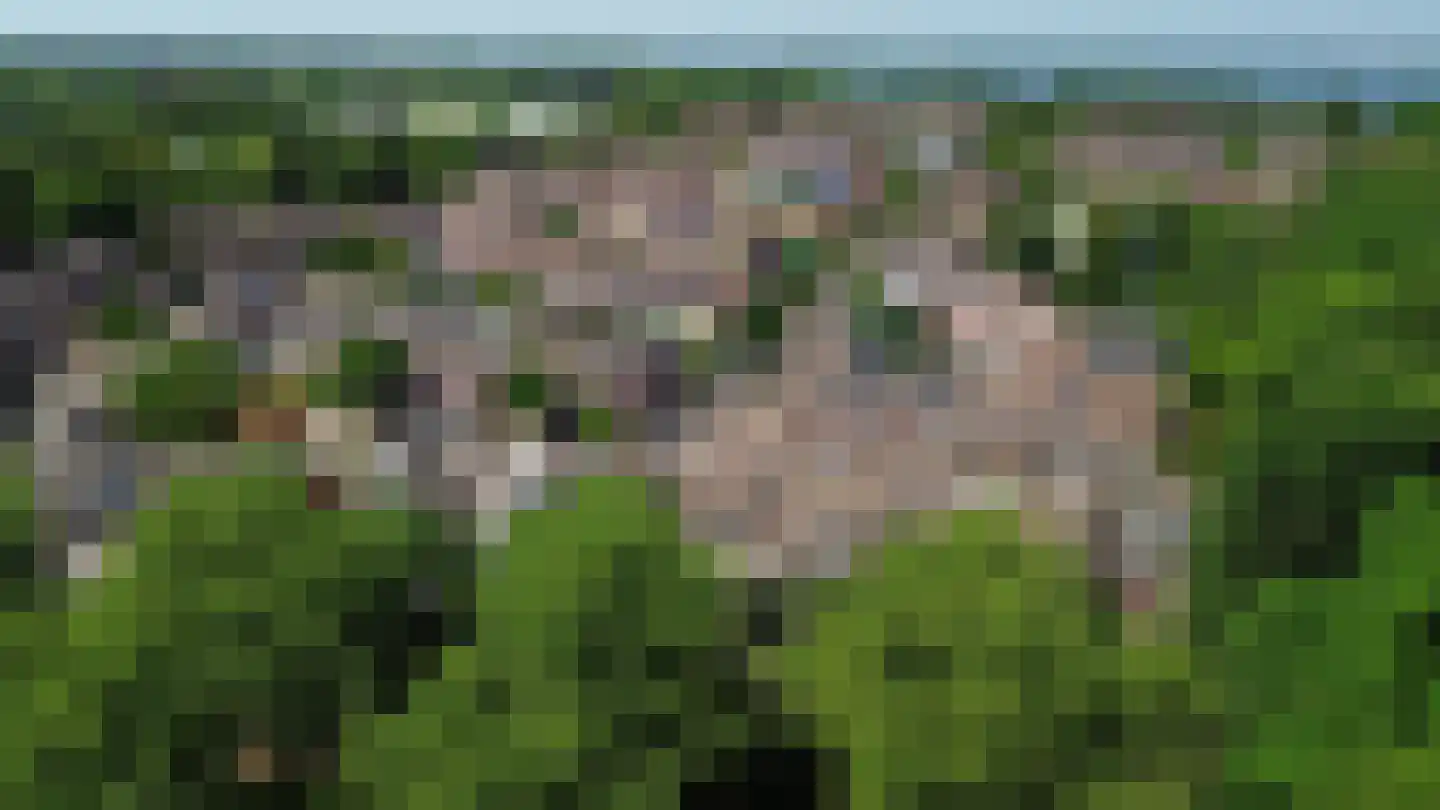 Gruttomeen 58 Harderwijk thumbnail 42
