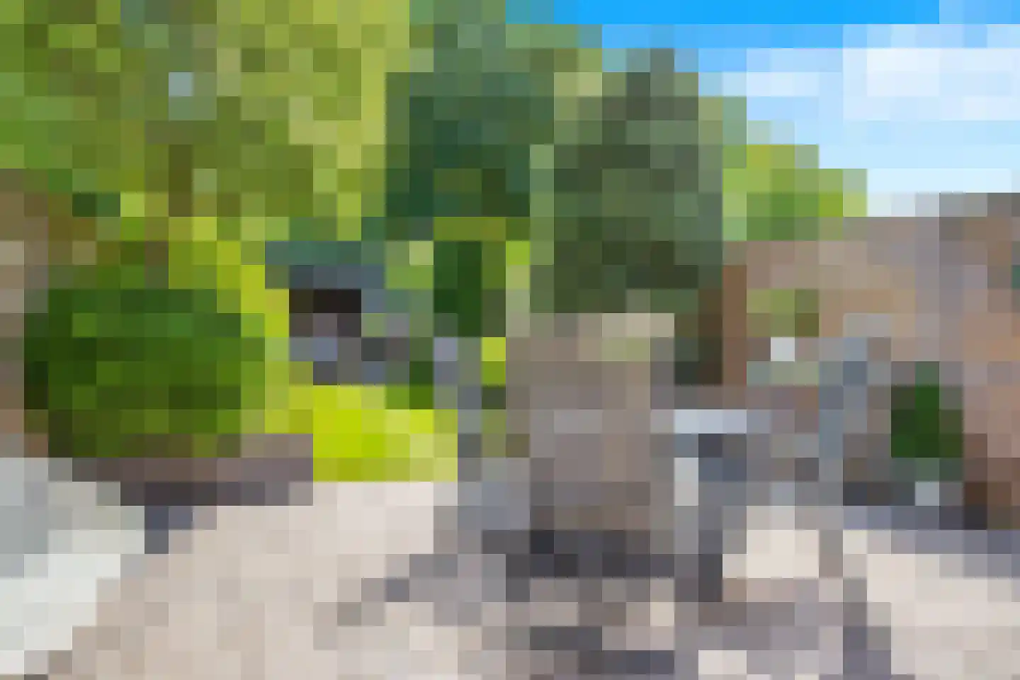 Gruttomeen 58 Harderwijk thumbnail 5