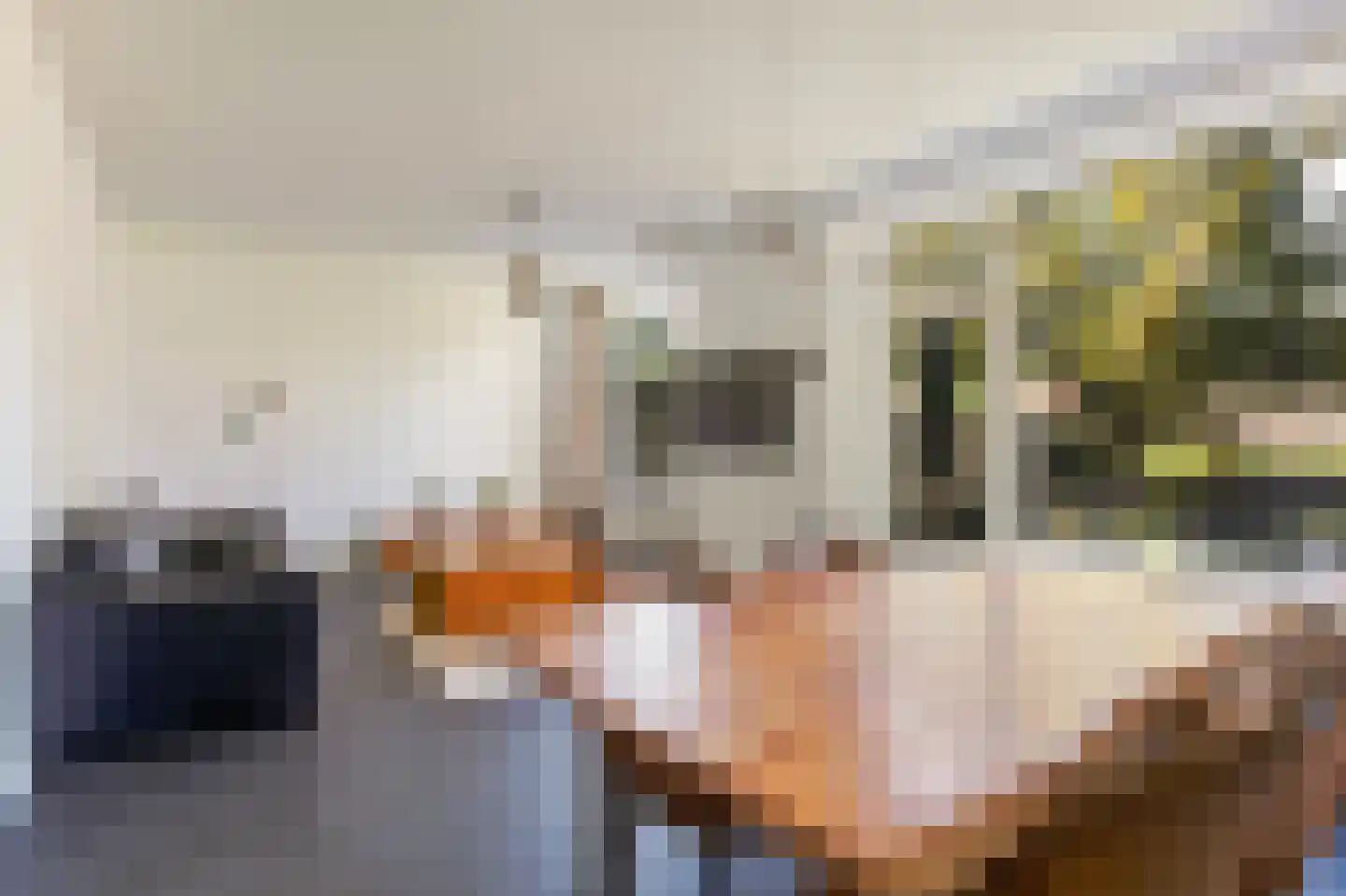Gruttoplein 16 Boskoop thumbnail 16