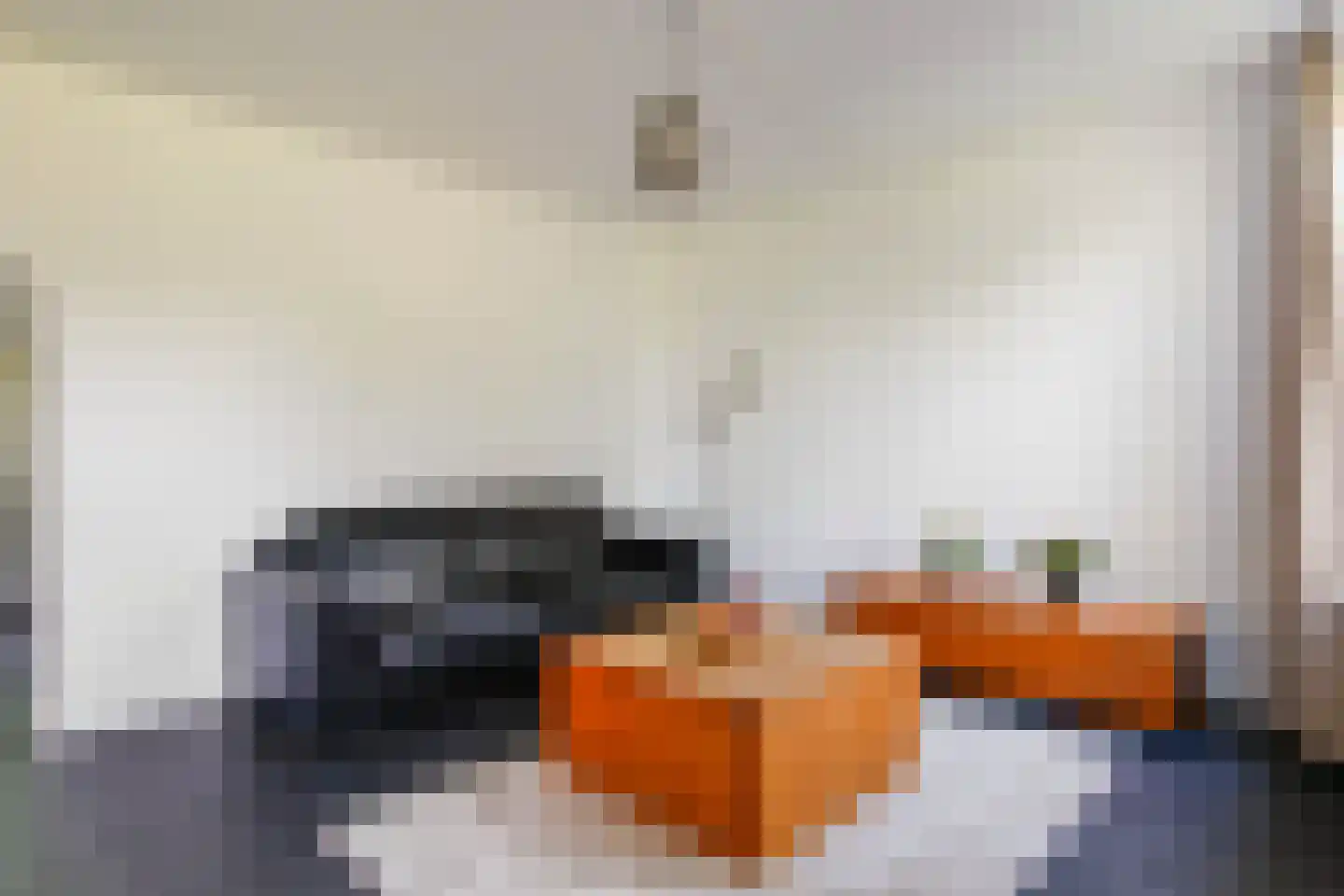 Gruttoplein 16 Boskoop thumbnail 17