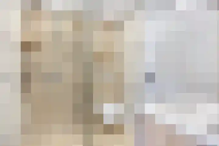 Gruttoplein 7 Velp thumbnail 13