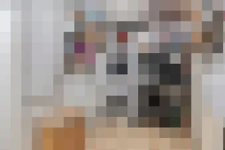 Gruttoplein 7 Velp thumbnail 21