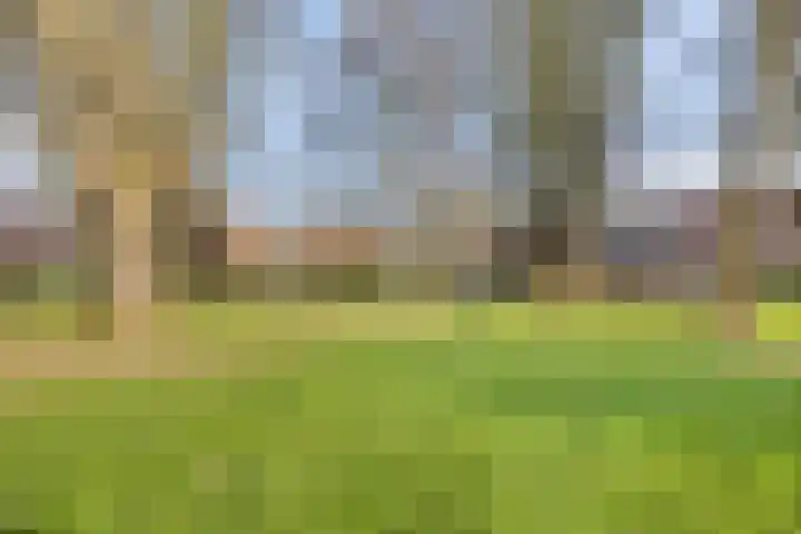 Gruttoplein 7 Velp thumbnail 23