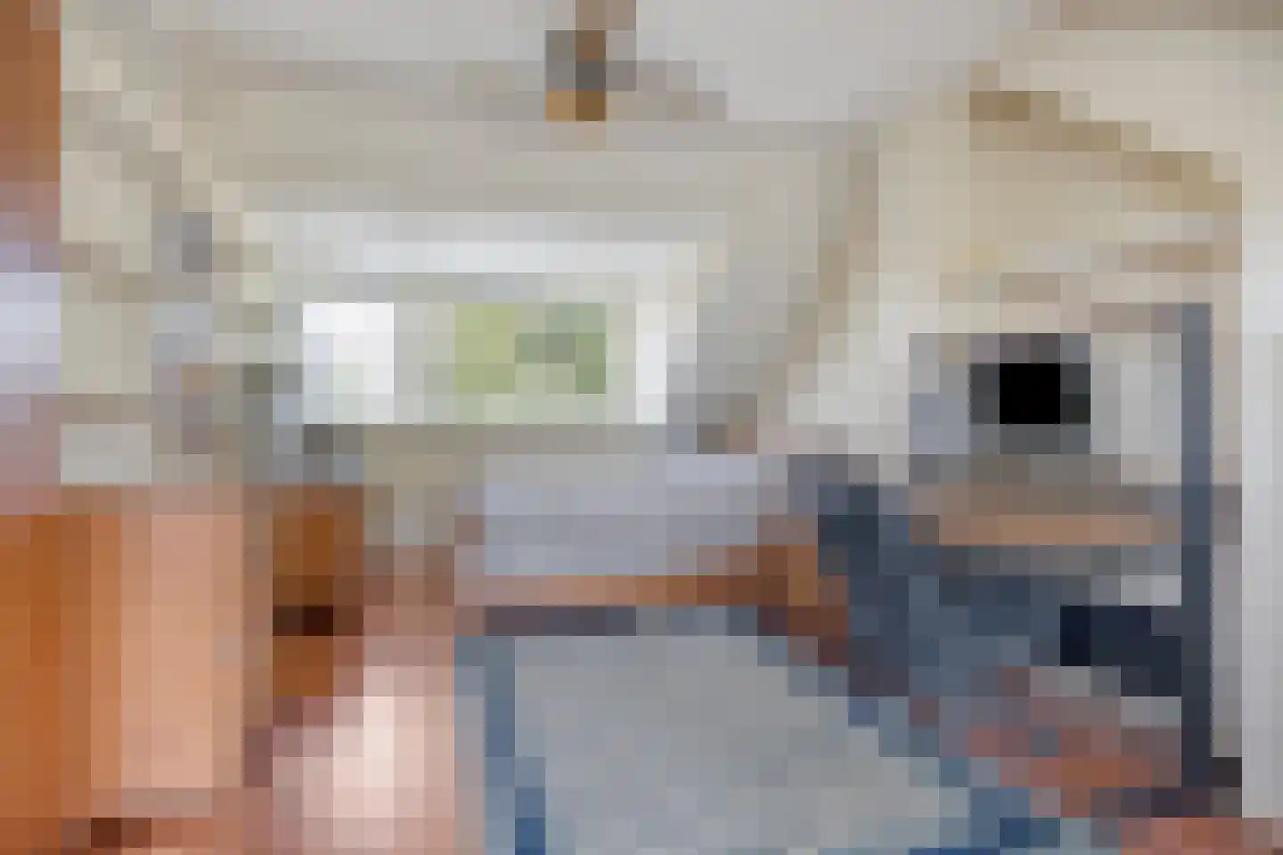 Gruttosingel 20 Capelle aan den IJssel thumbnail 25