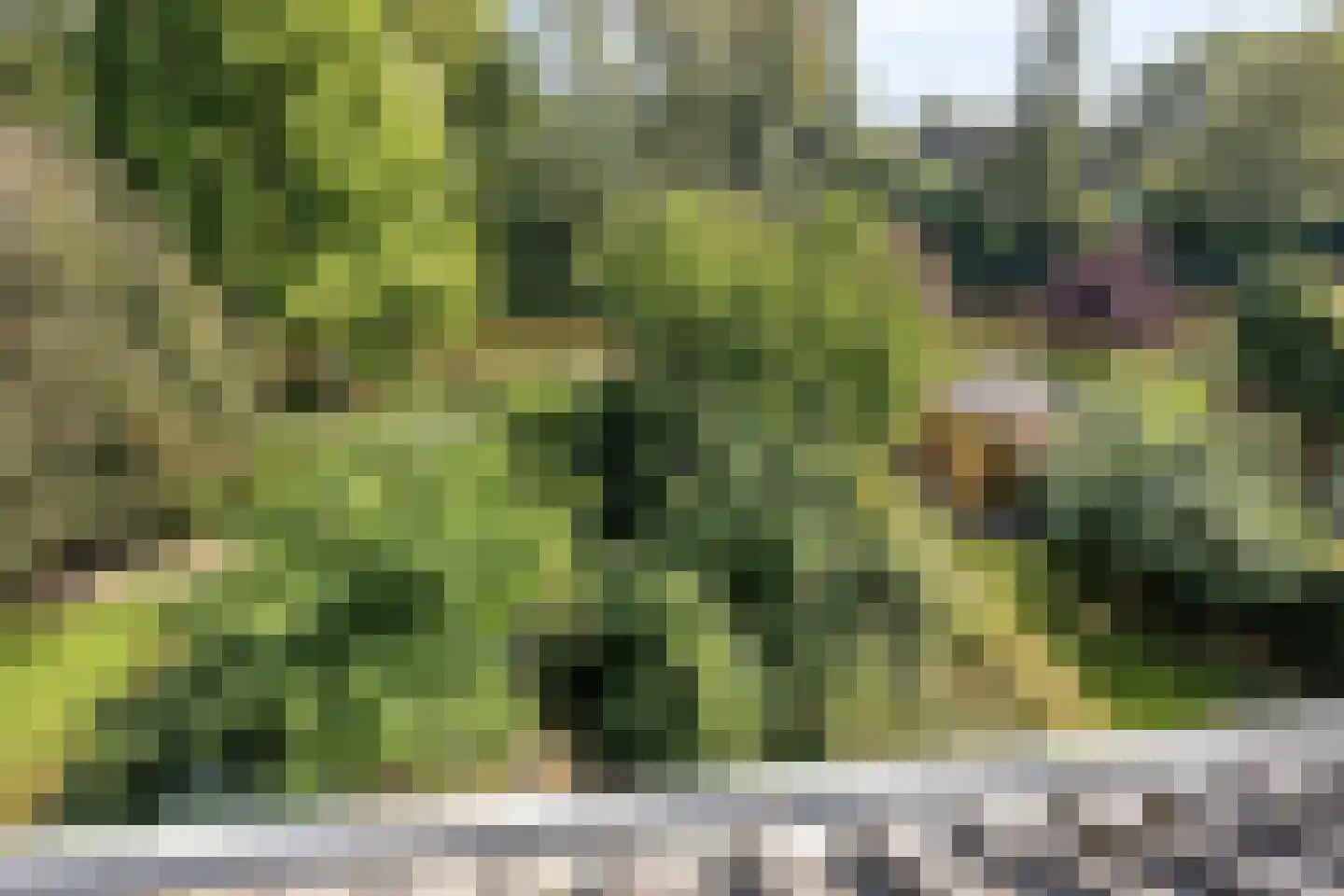 Gruttosingel 20 Capelle aan den IJssel thumbnail 29