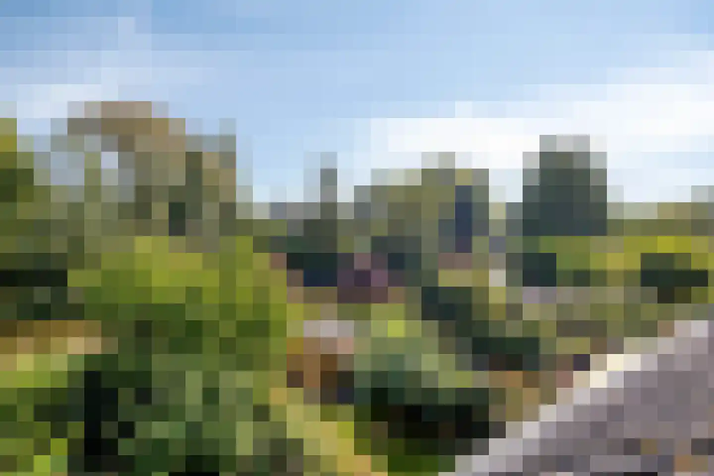 Gruttosingel 20 Capelle aan den IJssel thumbnail 30