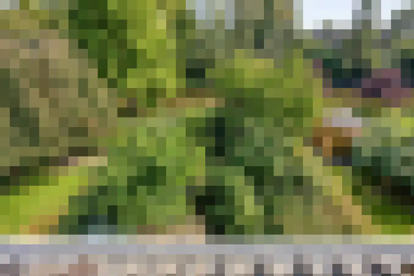Gruttosingel 20 Capelle aan den IJssel thumbnail 31
