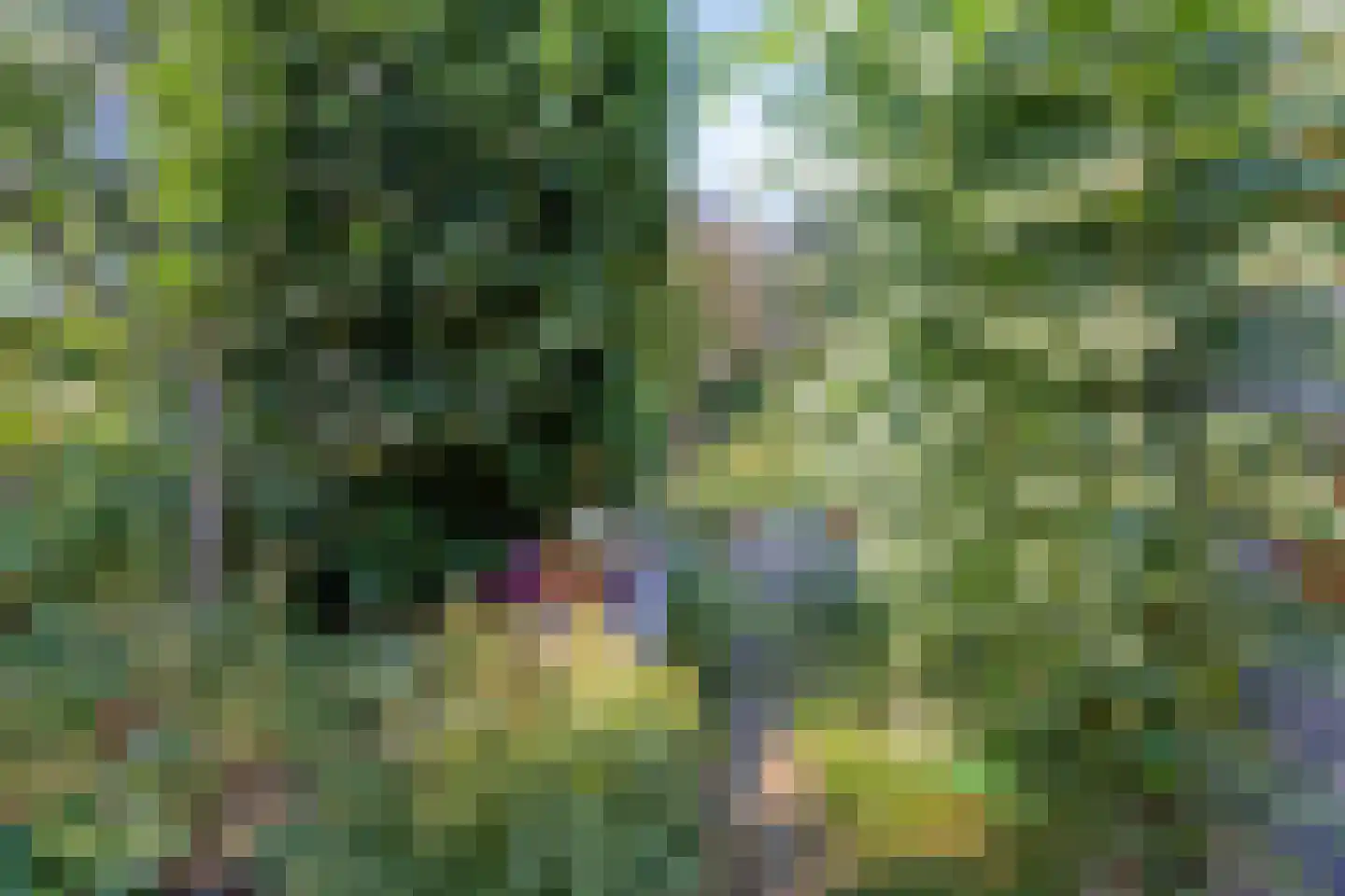 Gruttosingel 20 Capelle aan den IJssel thumbnail 33