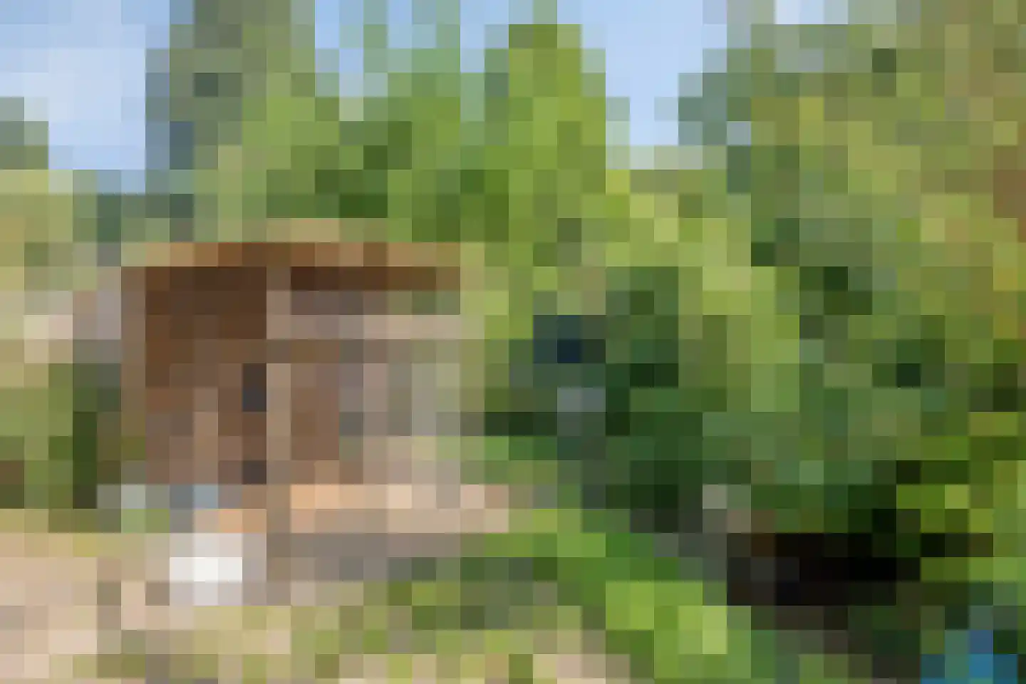 Gruttosingel 20 Capelle aan den IJssel thumbnail 34