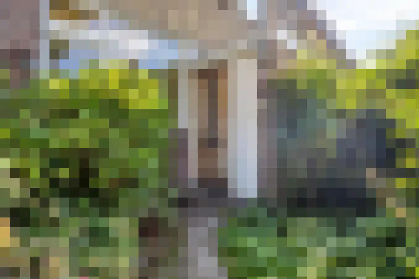 Gruttosingel 20 Capelle aan den IJssel thumbnail 35