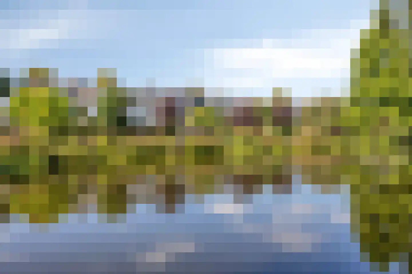 Gruttosingel 20 Capelle aan den IJssel thumbnail 38