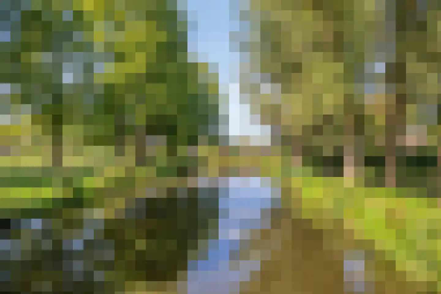 Gruttosingel 20 Capelle aan den IJssel thumbnail 39