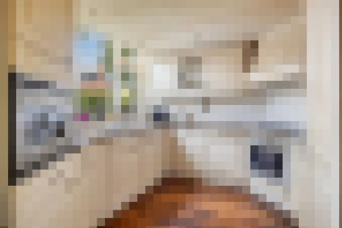 Gruttosingel 20 Capelle aan den IJssel thumbnail 9