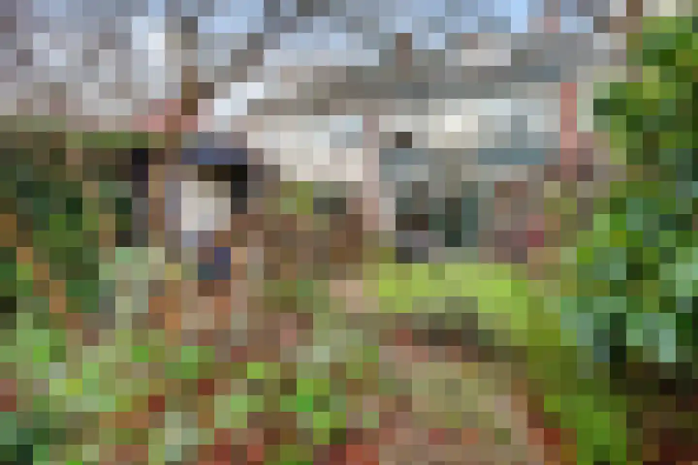 Gruttosingel 24 Capelle aan den IJssel thumbnail 54
