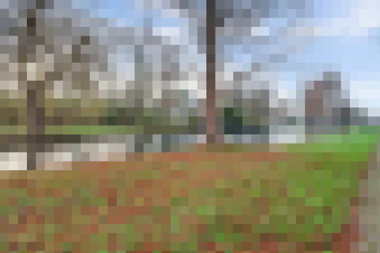 Gruttosingel 24 Capelle aan den IJssel thumbnail 55