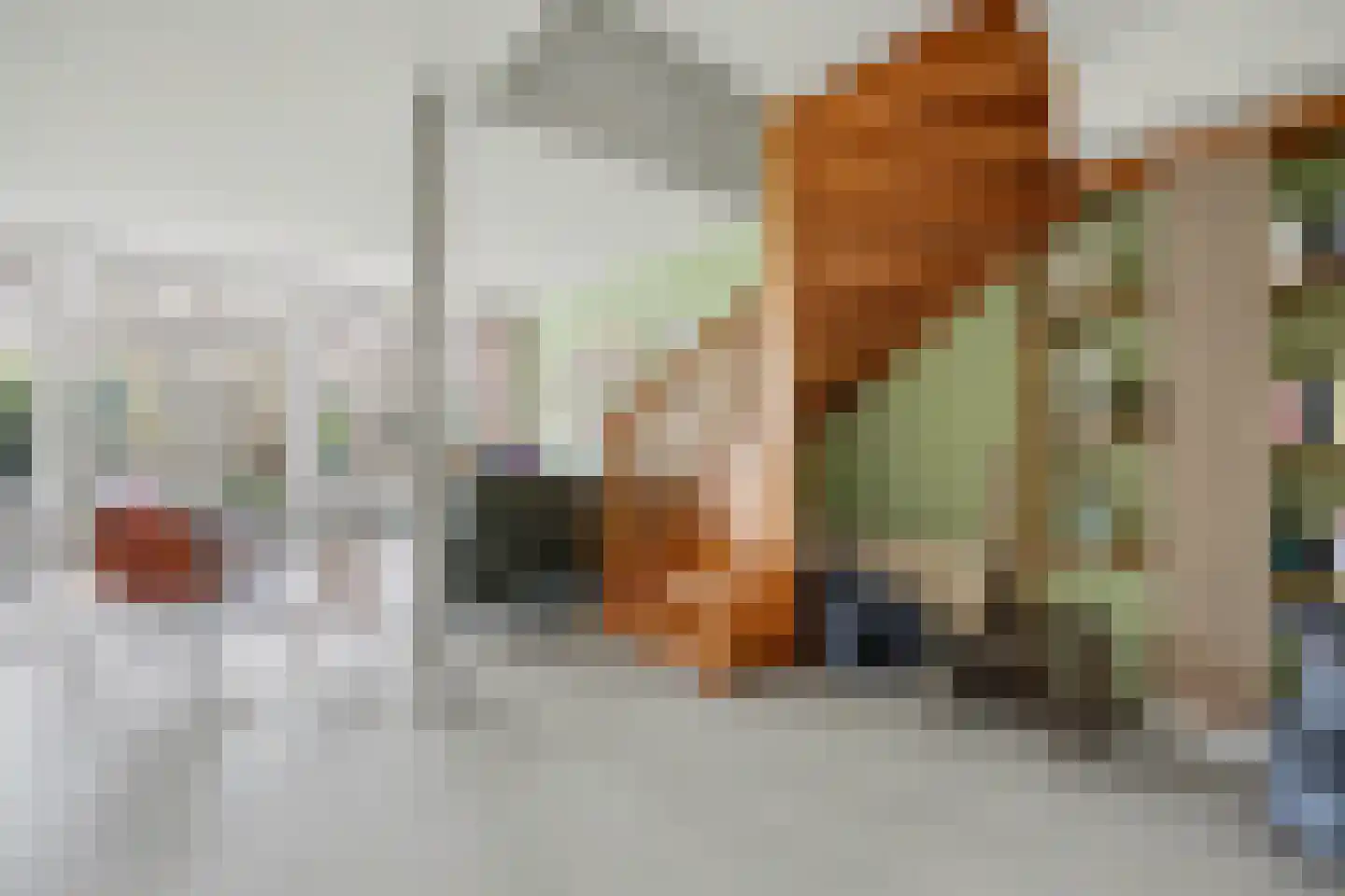 Gruttosingel 24 Capelle aan den IJssel thumbnail 8