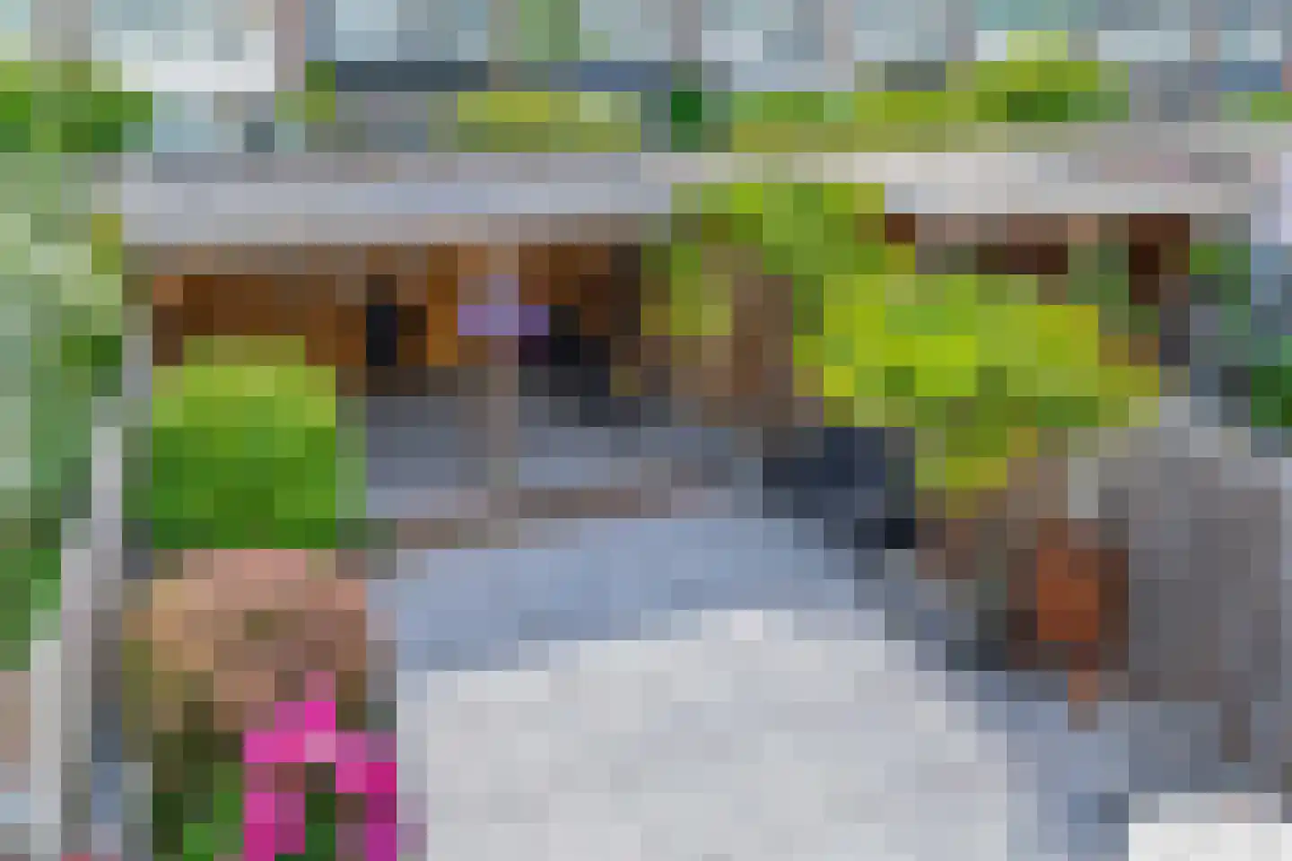 Gruttosingel 35 Capelle aan den IJssel thumbnail 4