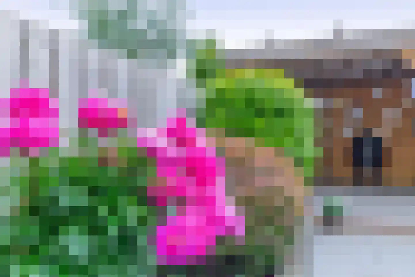 Gruttosingel 35 Capelle aan den IJssel thumbnail 43