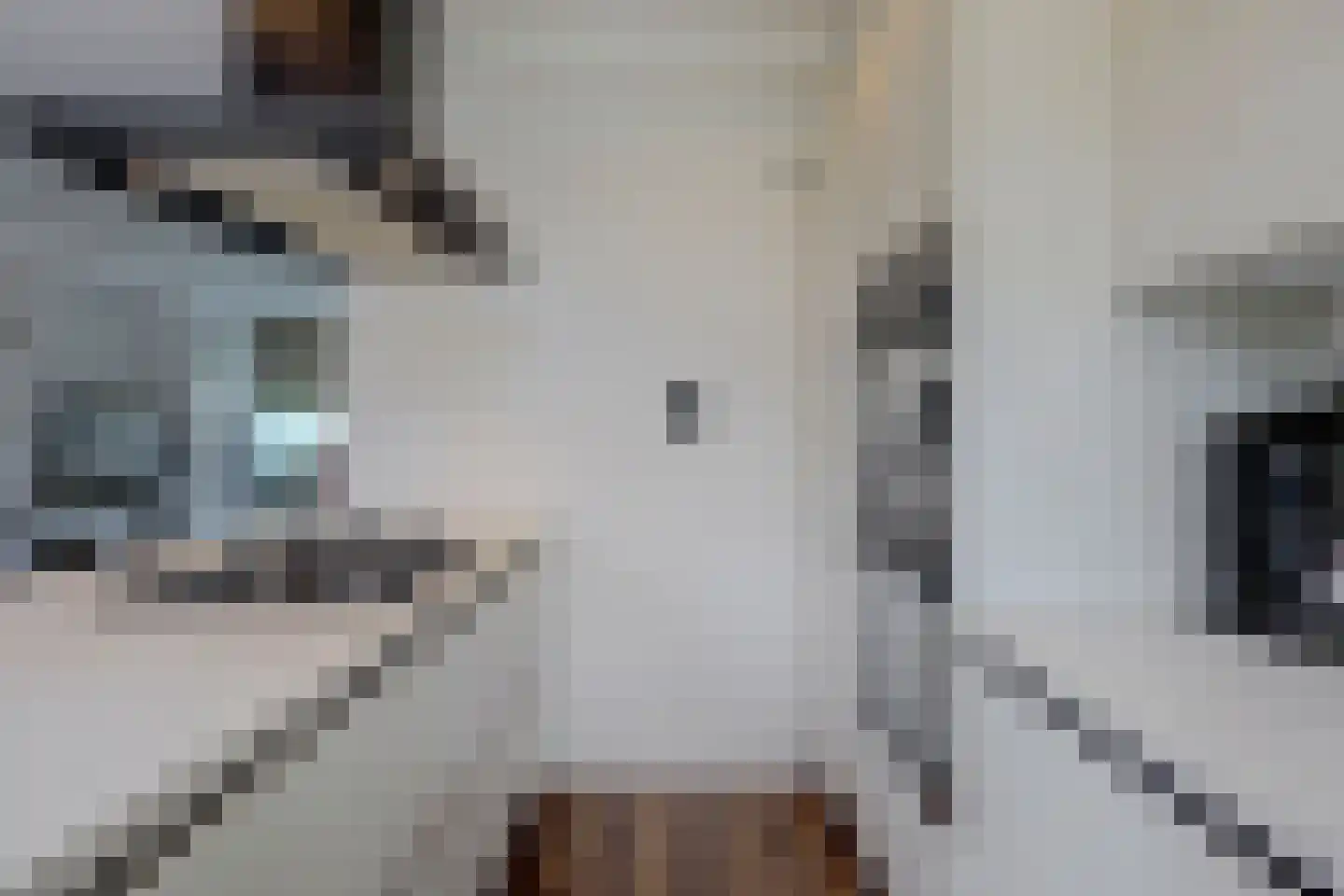 Gruttosingel 71 Capelle aan den IJssel thumbnail 10