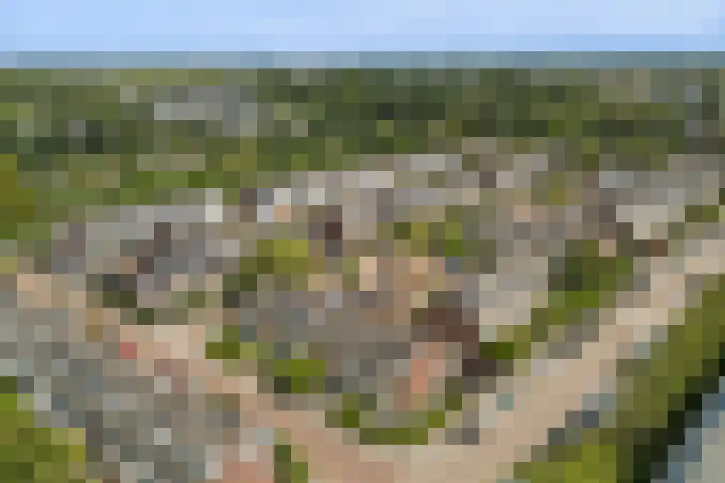 Gruttosingel 71 Capelle aan den IJssel thumbnail 47