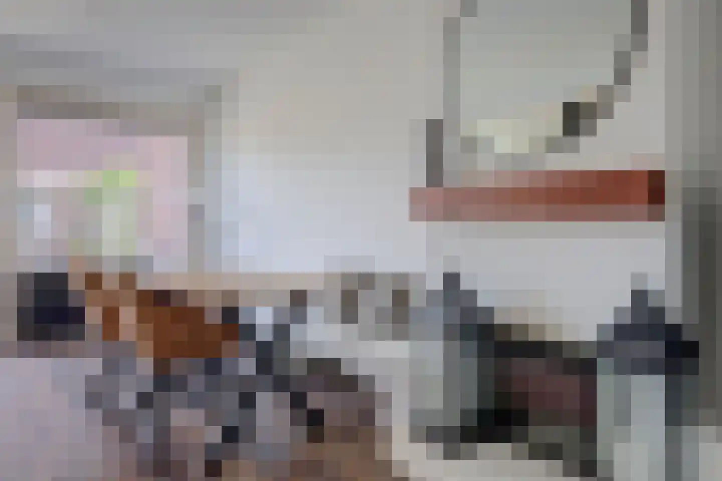 Gruttosingel 71 Capelle aan den IJssel thumbnail 8