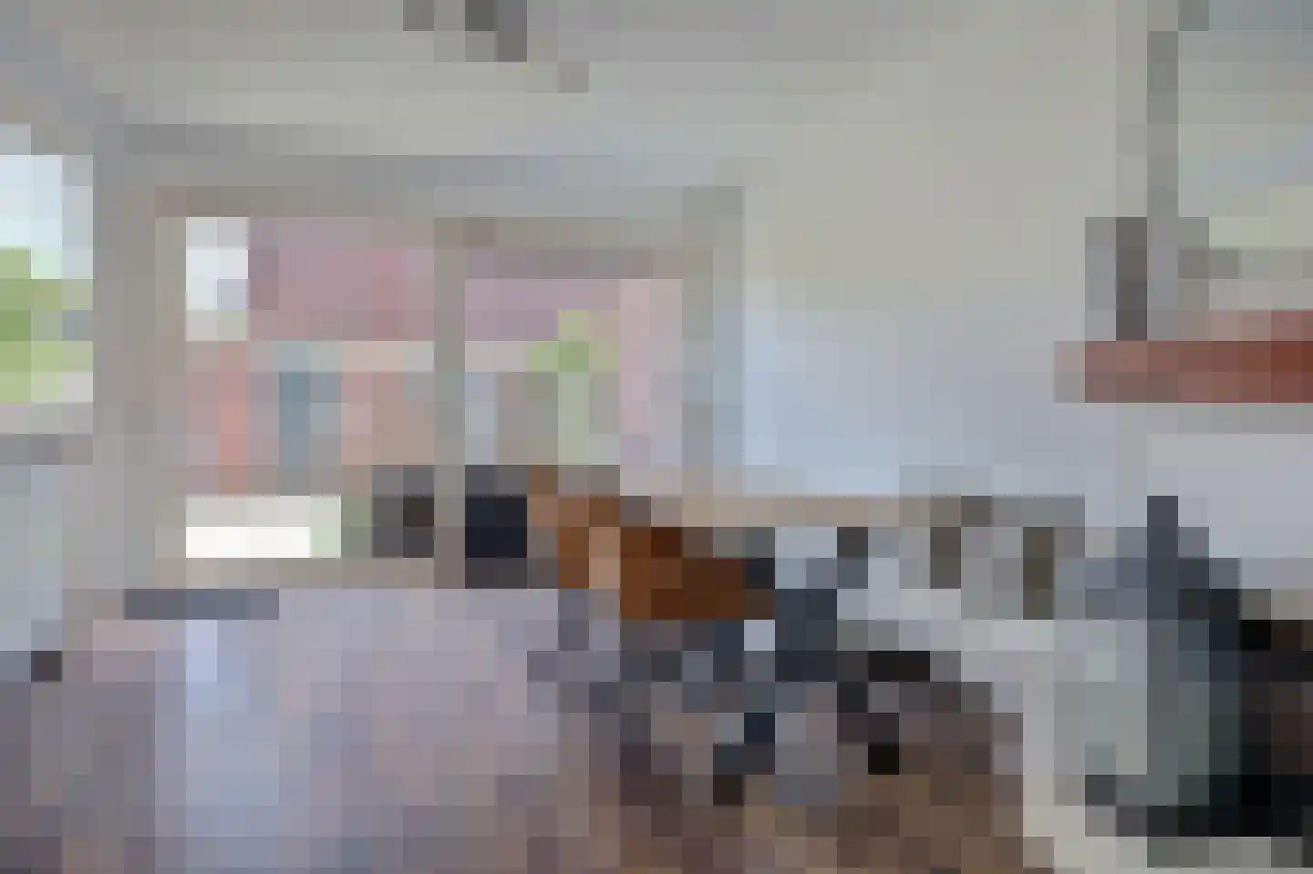 Gruttosingel 71 Capelle aan den IJssel thumbnail 9
