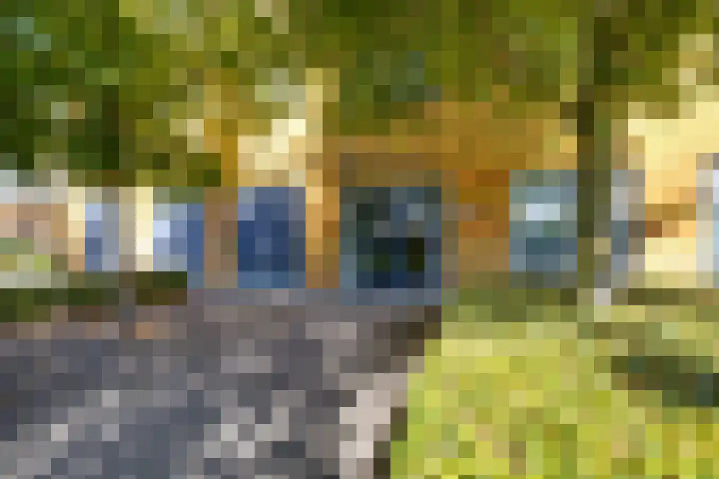 Gruttostraat 1 11 Lichtenvoorde thumbnail 4