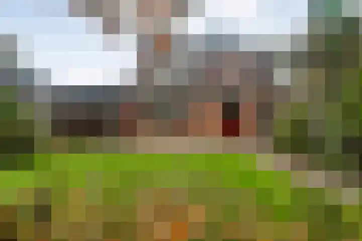 Gruttostraat 1 Ommen thumbnail 32