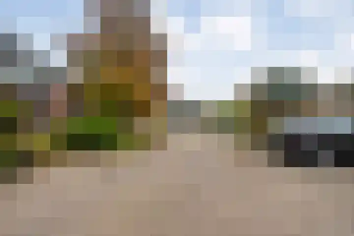 Gruttostraat 1 Ommen thumbnail 36