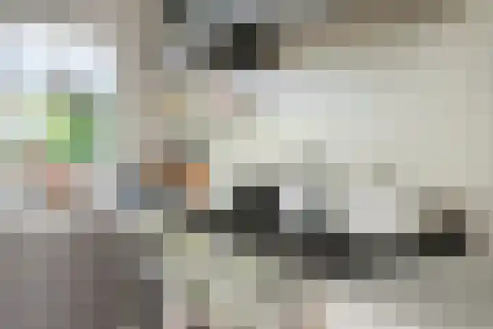 Gruttostraat 10 Driel thumbnail 19