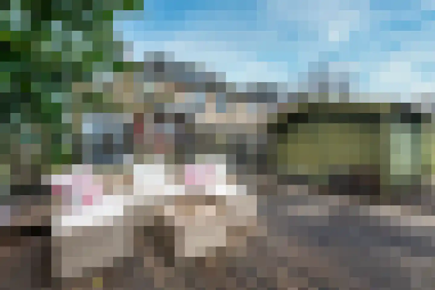 Gruttostraat 10 Vianen thumbnail 31