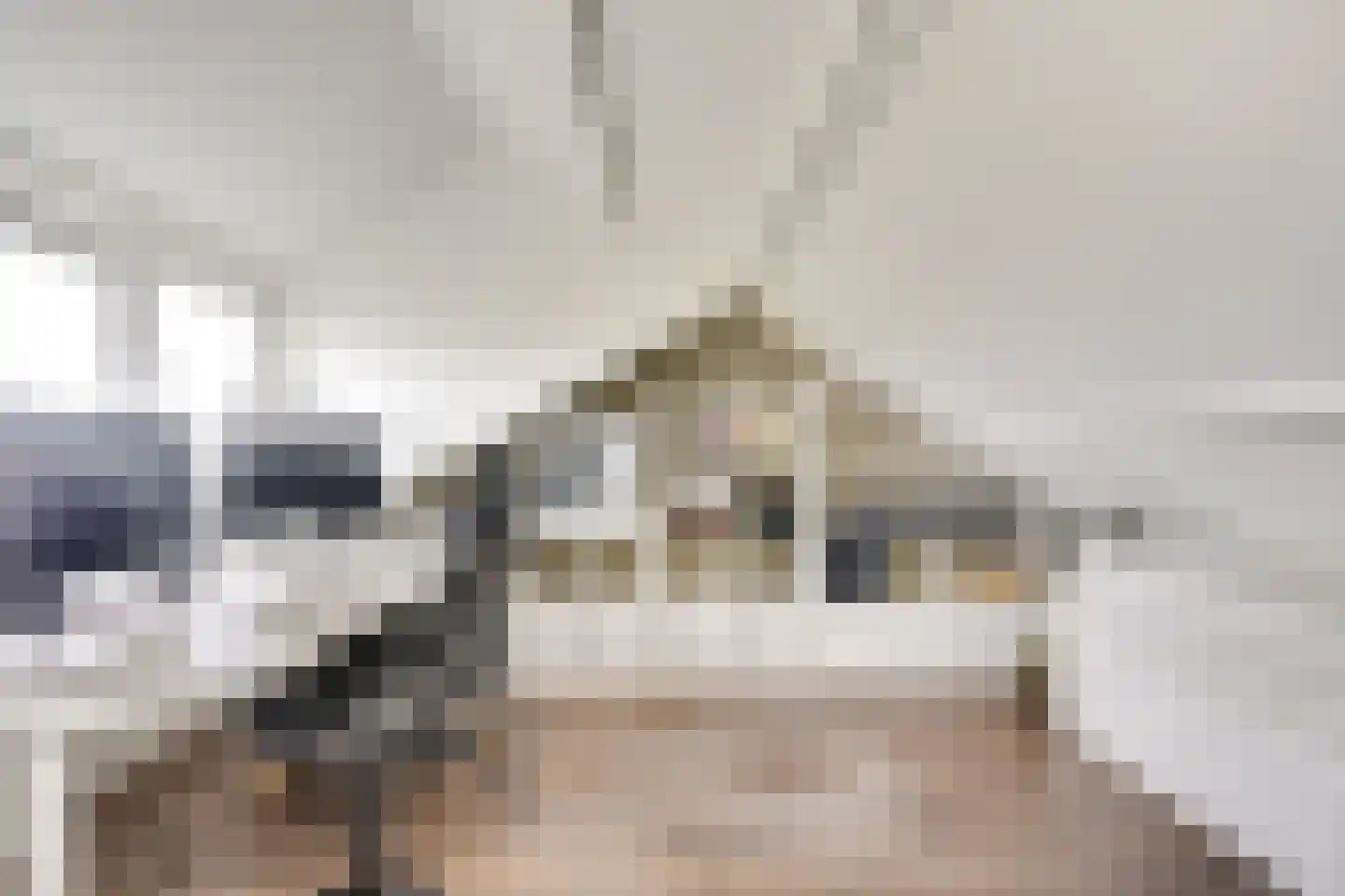 Gruttostraat 10 Vianen thumbnail 58