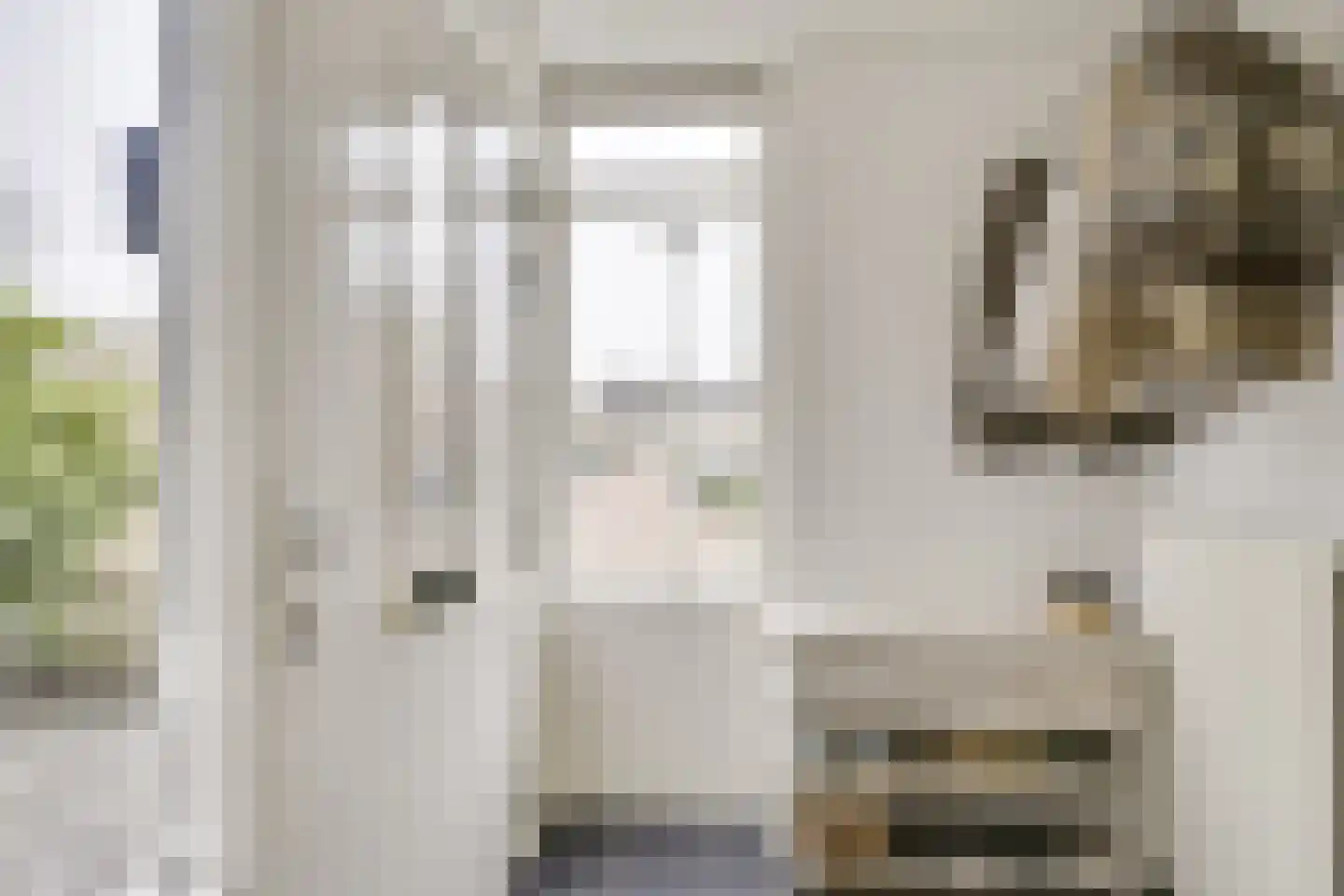 Gruttostraat 10 Vianen thumbnail 6