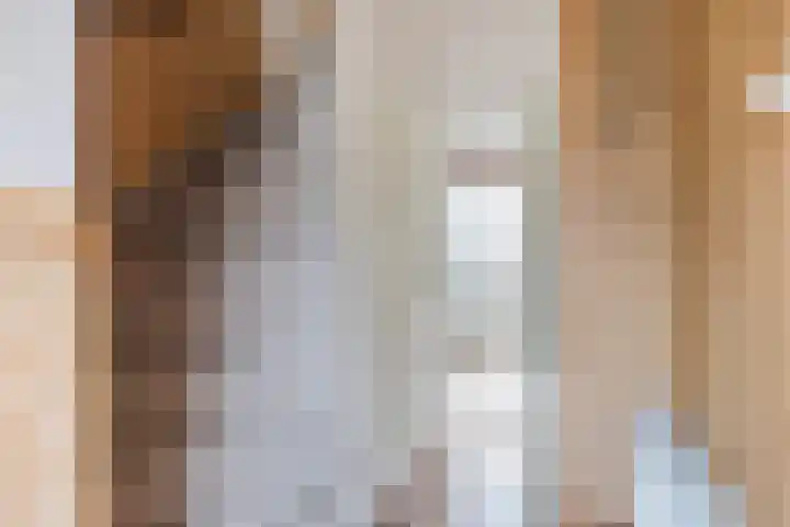 Gruttostraat 12 Epe thumbnail 11