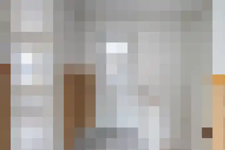 Gruttostraat 12 Epe thumbnail 12