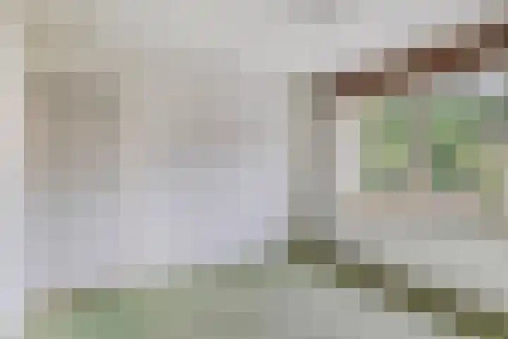 Gruttostraat 12 Epe thumbnail 14