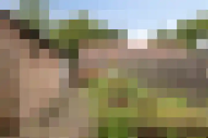Gruttostraat 12 Epe thumbnail 22