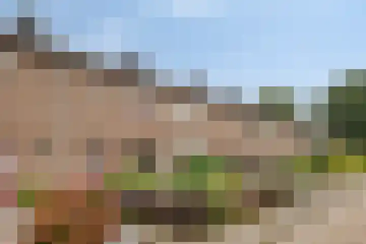 Gruttostraat 12 Epe thumbnail 26