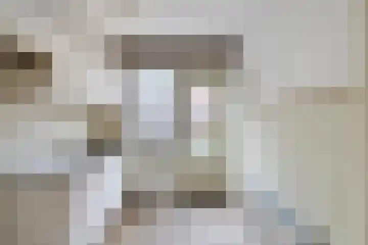 Gruttostraat 12 Epe thumbnail 7