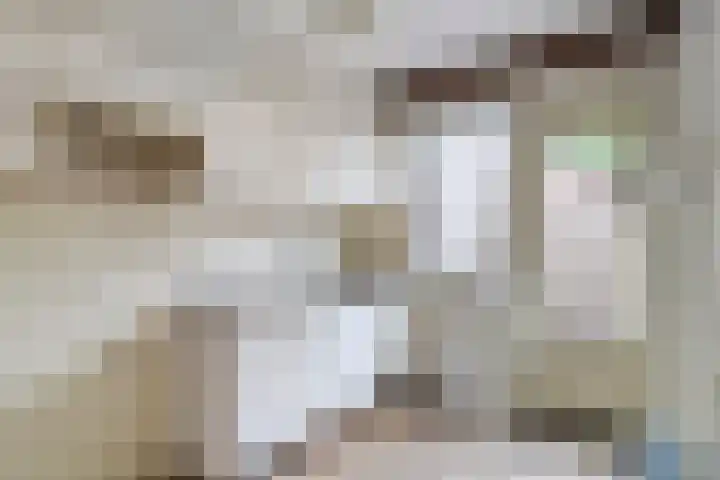Gruttostraat 12 Epe thumbnail 8