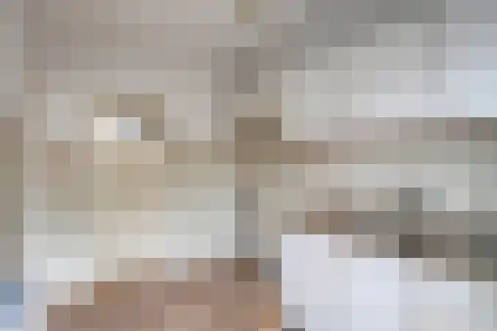 Gruttostraat 12 Epe thumbnail 9