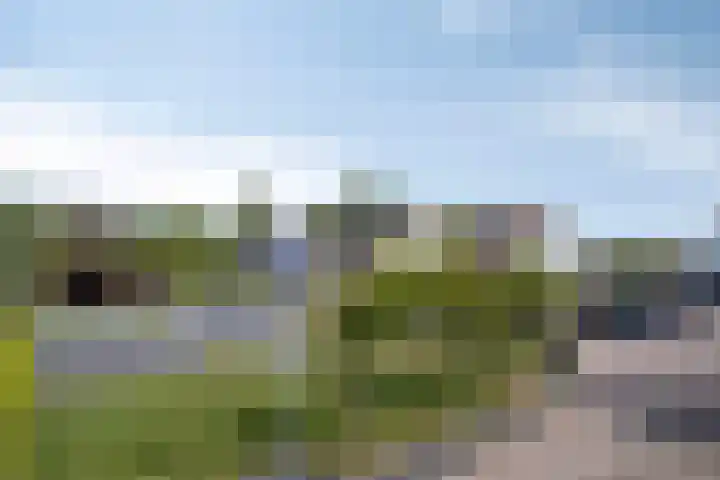 Gruttostraat 12 Zierikzee thumbnail 31