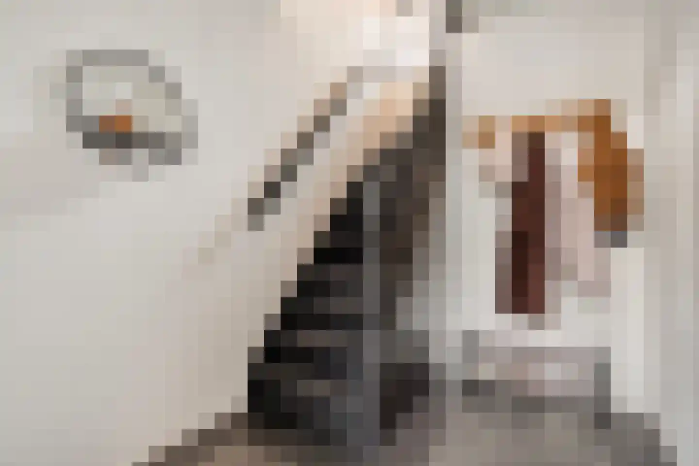 Gruttostraat 13 Ruinerwold thumbnail 12