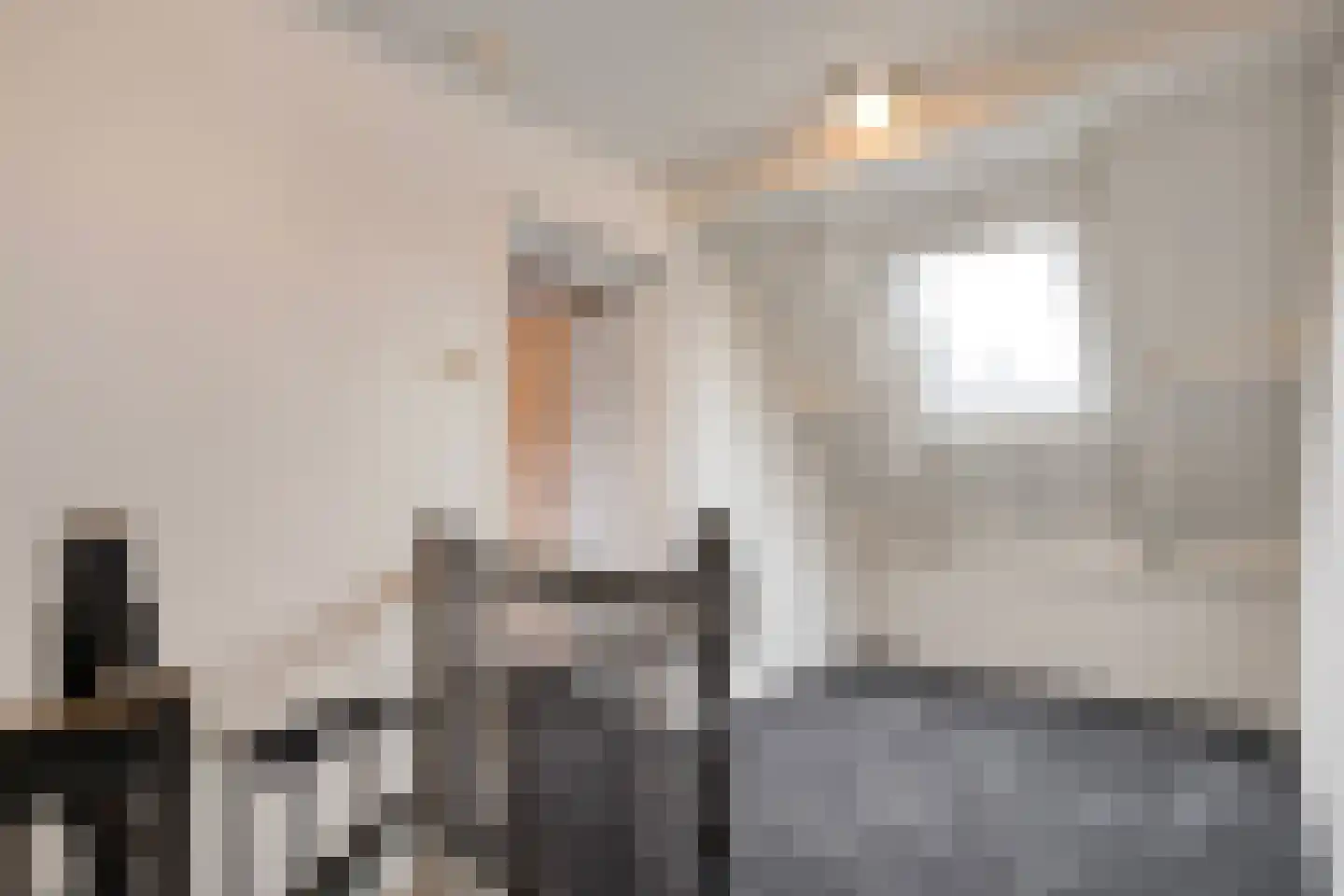 Gruttostraat 13 Ruinerwold thumbnail 14