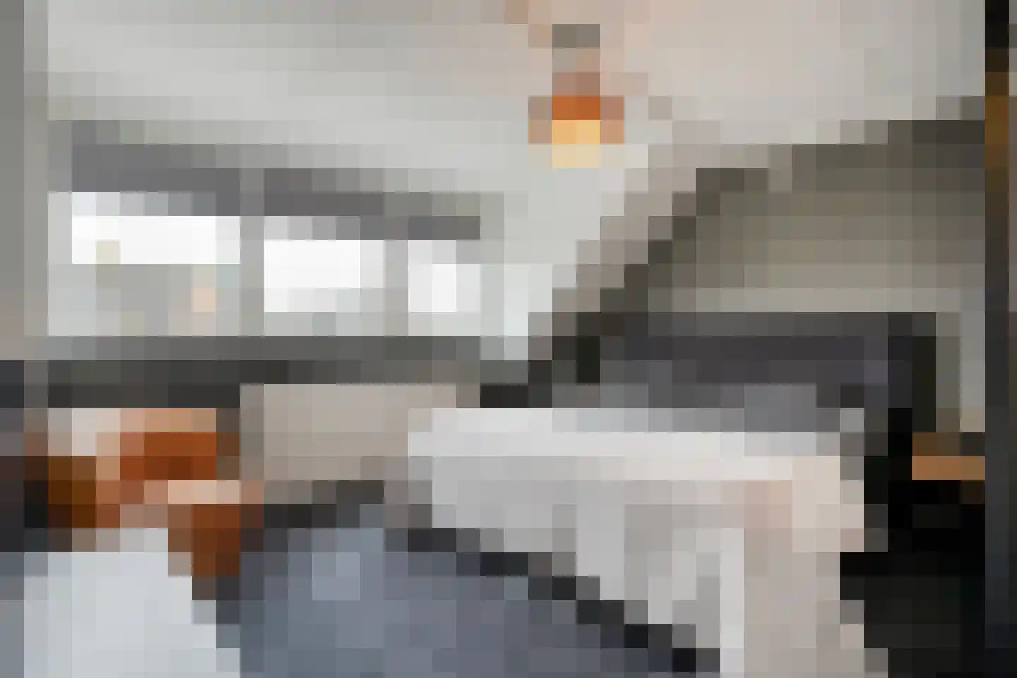 Gruttostraat 13 Ruinerwold thumbnail 16