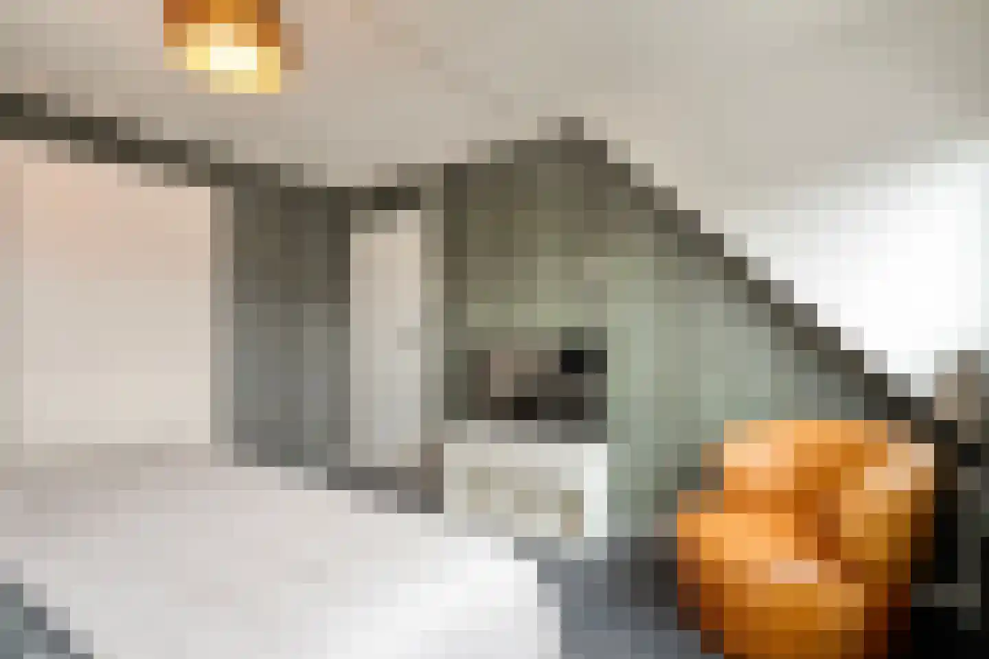Gruttostraat 13 Ruinerwold thumbnail 17