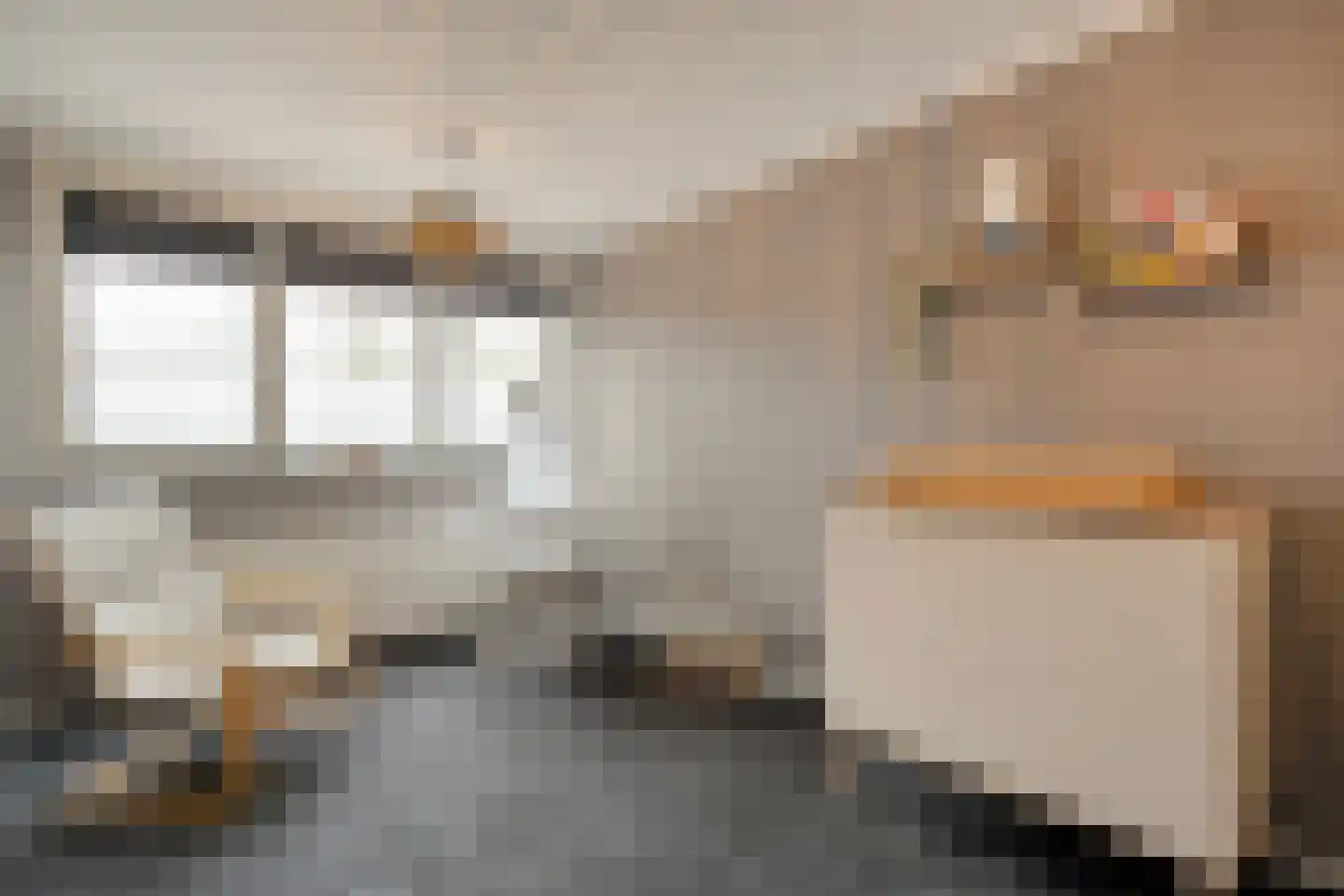 Gruttostraat 13 Ruinerwold thumbnail 20