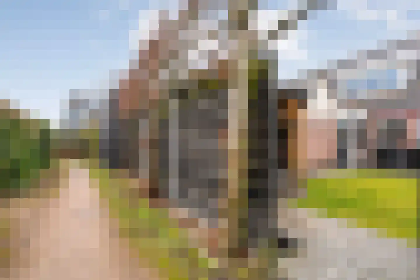 Gruttostraat 13 Ruinerwold thumbnail 26