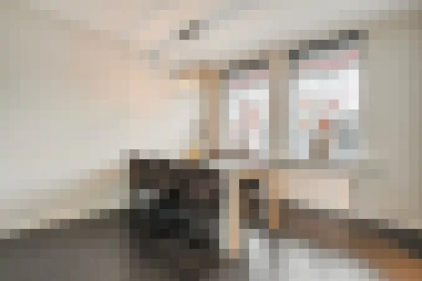 Gruttostraat 13 Ruinerwold thumbnail 5