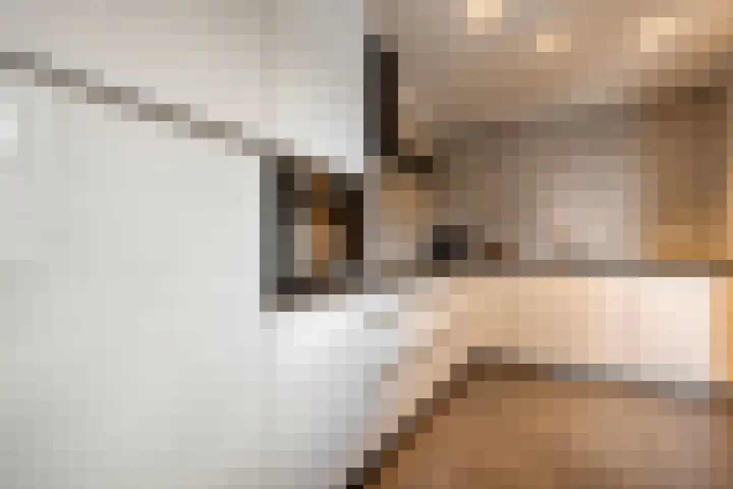 Gruttostraat 13 Ruinerwold thumbnail 8